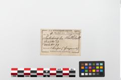 Etiketten zu Unterkiefer (NHMW-PRAE-023689a)